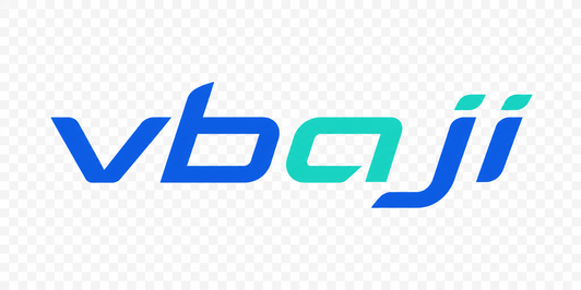 vbaji logo
